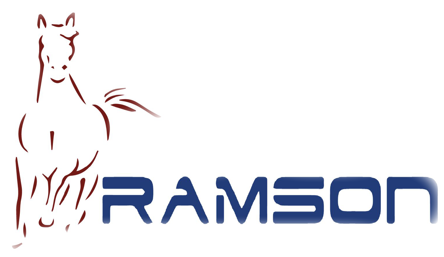 RAMSON Elevators